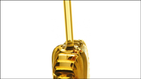 エンジン・オイル / フィルター交換